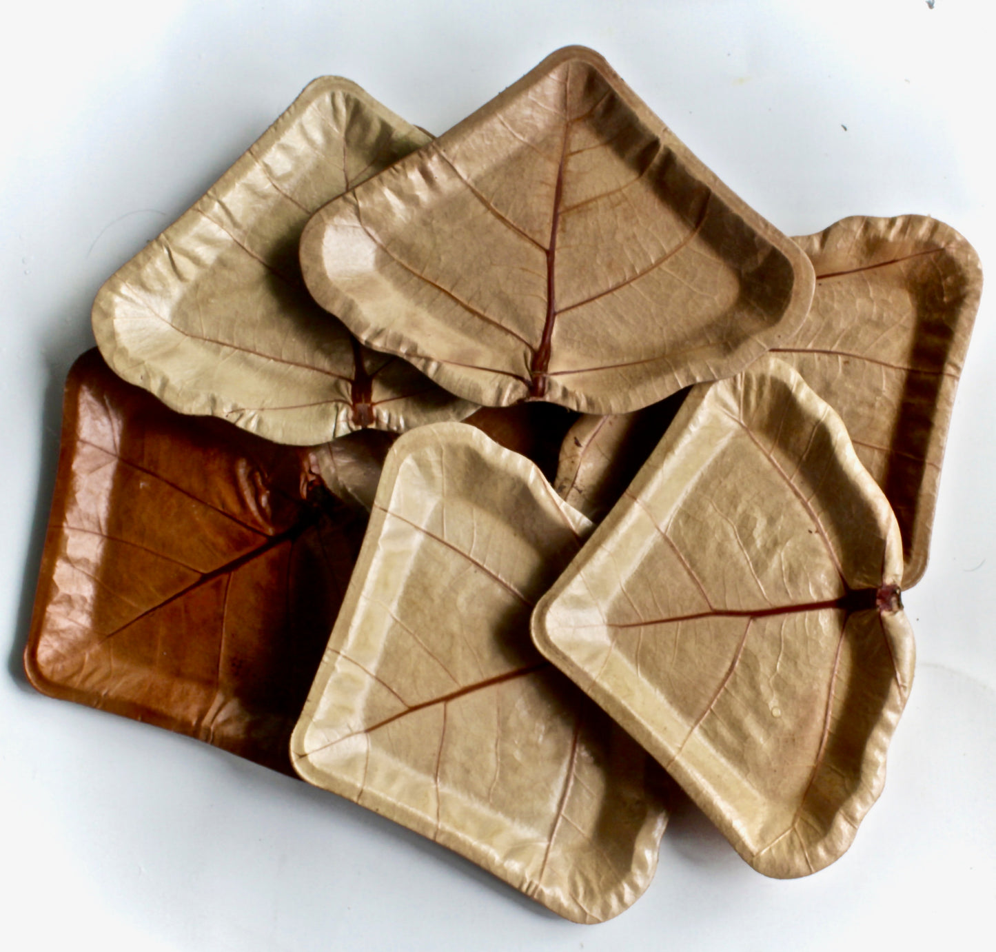 Sea Grape Natural Leaf Dessert Plates - 20pc (7") - Biodegradable - Perfect for Desserts & Dry Foods