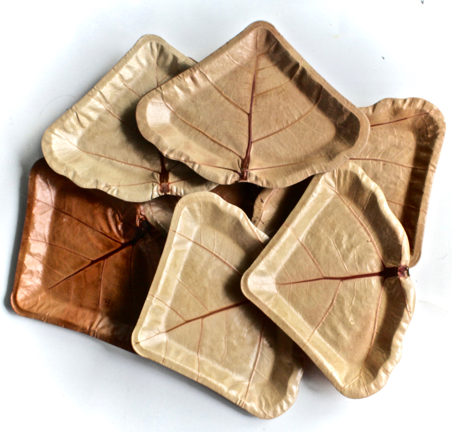 Sea Grape Natural Leaf Dessert Plates - 1000pc (7") - Bulk Wholesale - Biodegradable