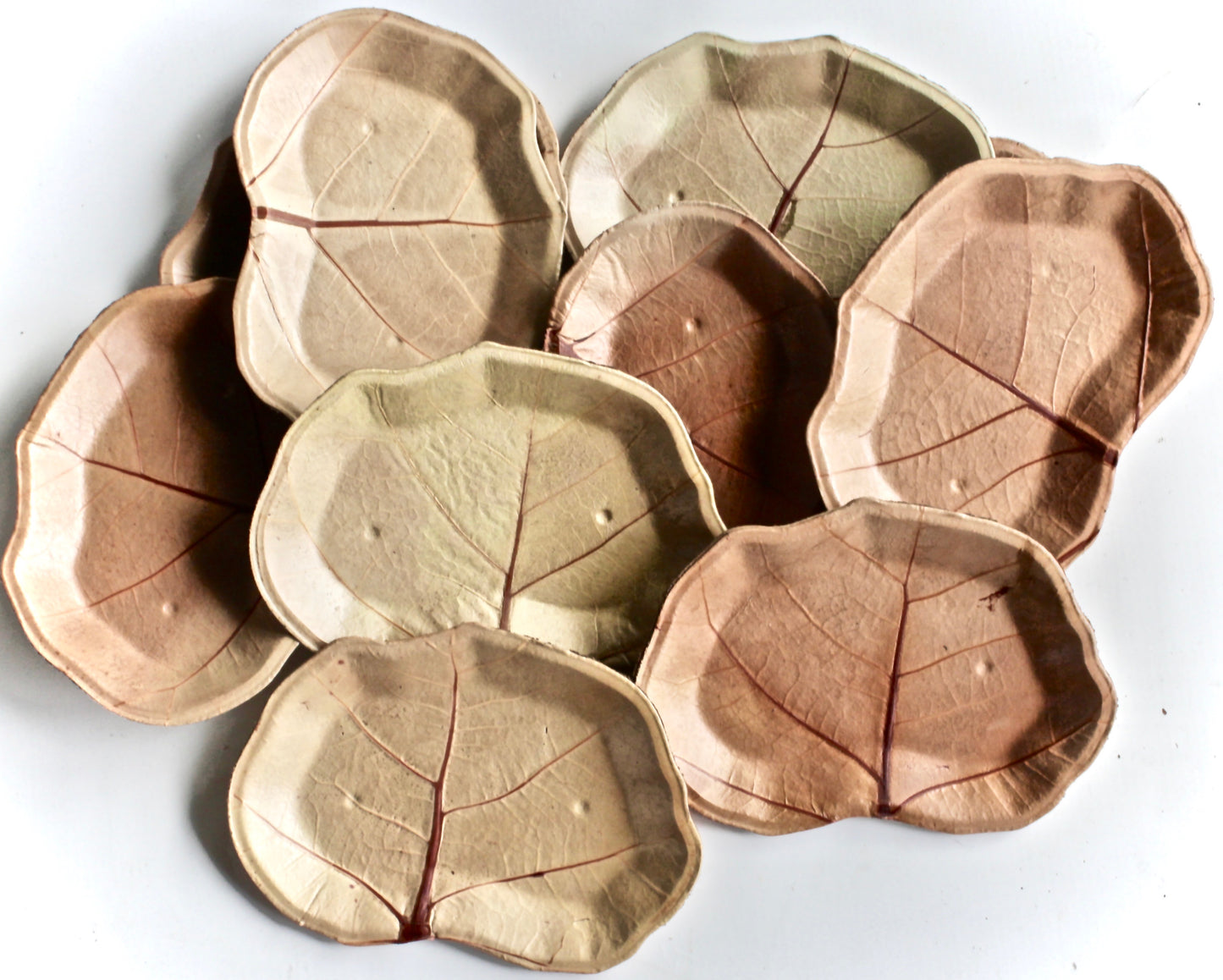 Sea Grape Natural Leaf Dessert Plates - 1000pc (7") - Bulk Wholesale - Biodegradable