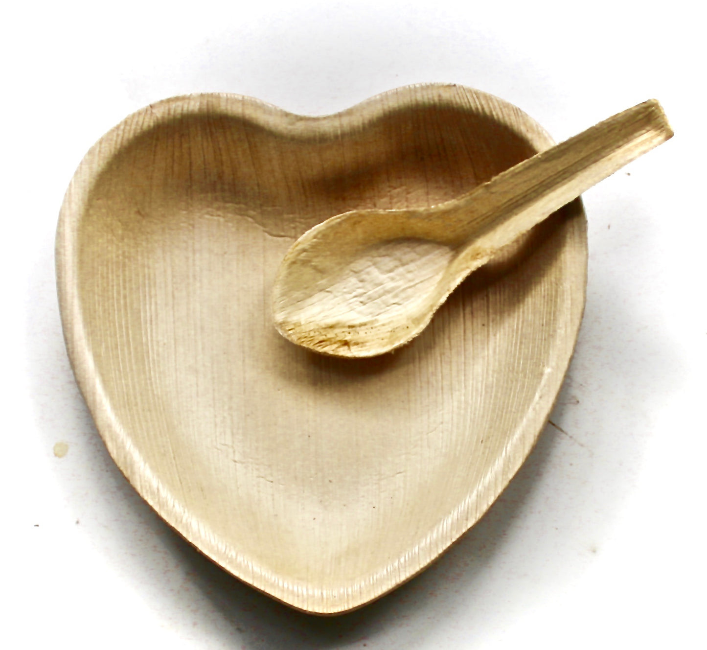 Square Plates - 50 Pieces (9.5") - Eco-Friendly