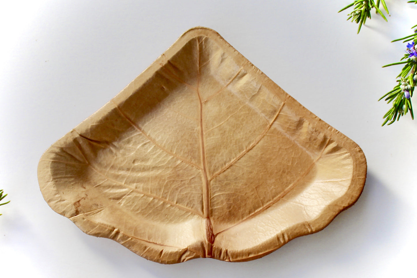 Sea Grape Dessert Plates - 7" Compostable (50 Pack) - Triangle Leaf Shape