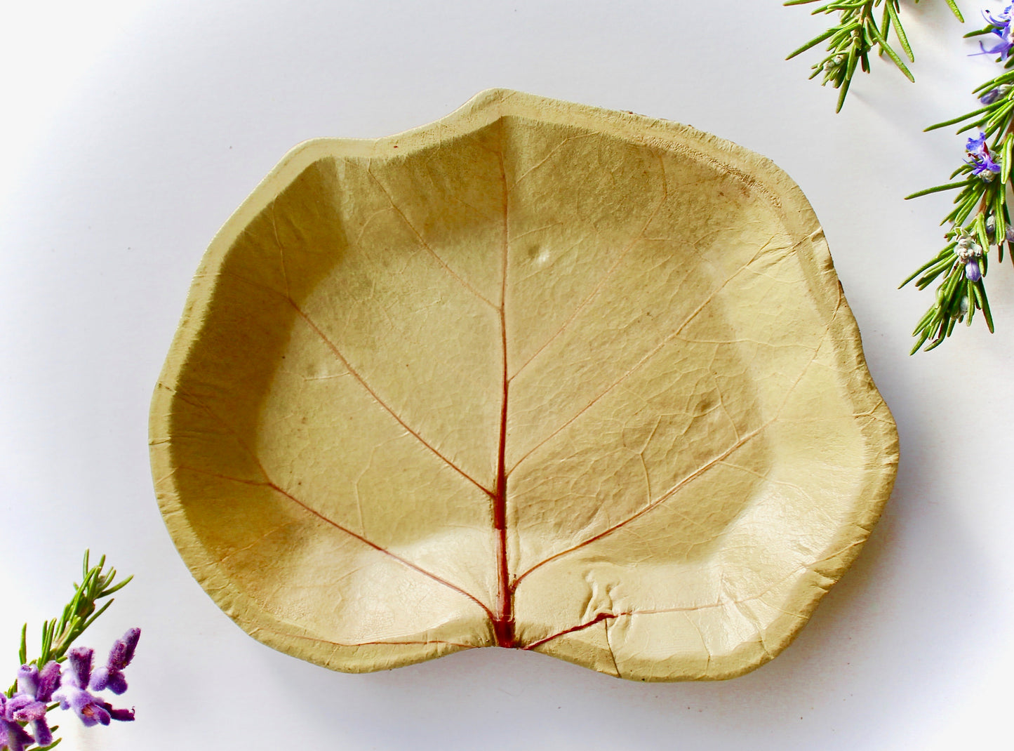 Sea Grape Dessert Plates - 7" Compostable (50 Pack) - Full Leaf Shape