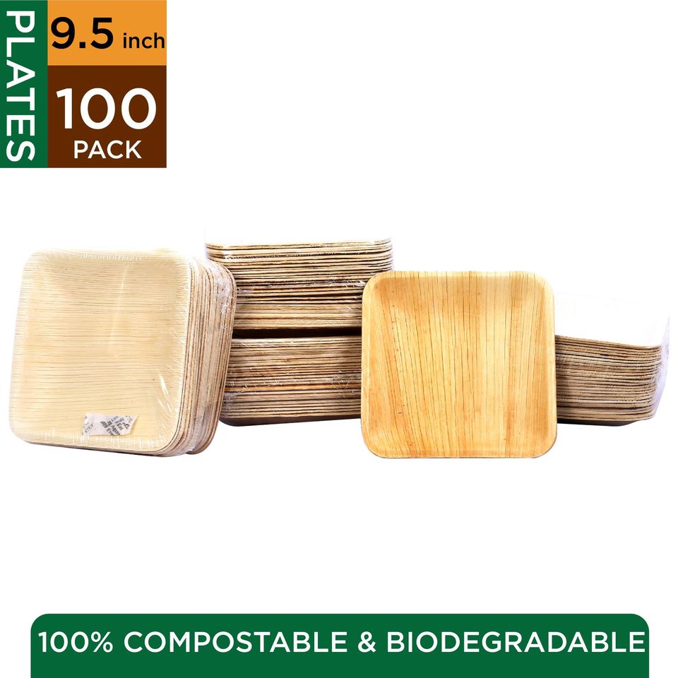 Square Plates - 100 Pieces (9.5")