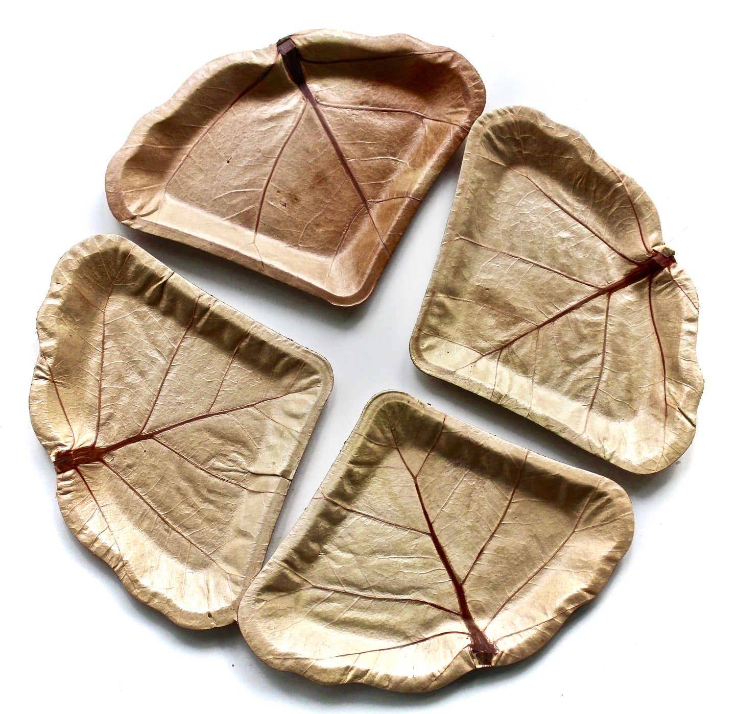 Natural Leaf  Plates  20 Each Shape Sea Grape 7" for dessert and Dry food . Stylish - Uniqe