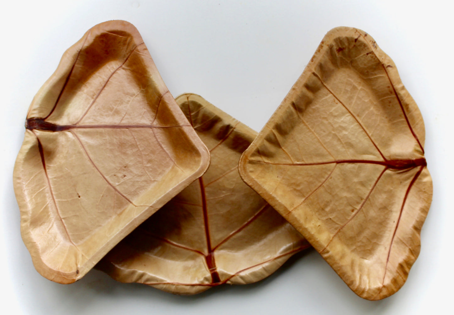 Natural Leaf  Plates  20 Each Shape Sea Grape 7" for dessert and Dry food . Stylish - Uniqe