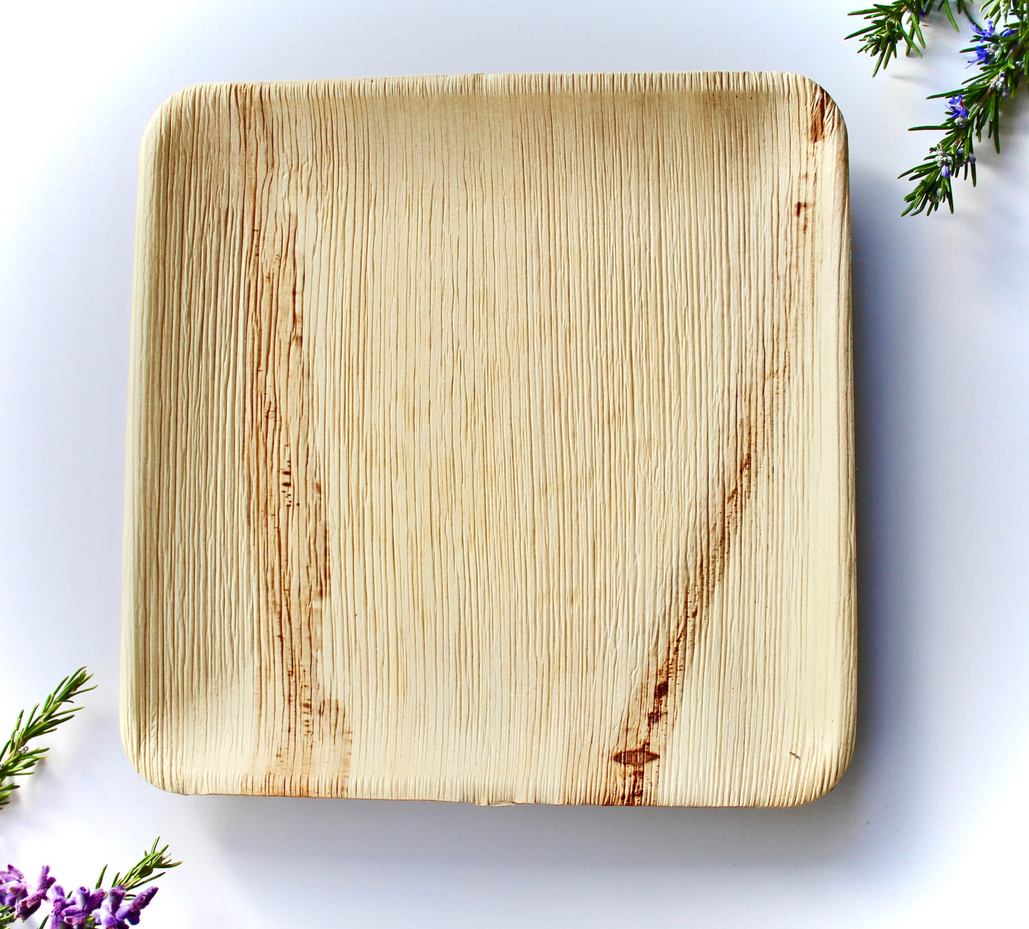 Bamboo Plate palm Leaf 25 Pice  Square 10 " disposable - compostable