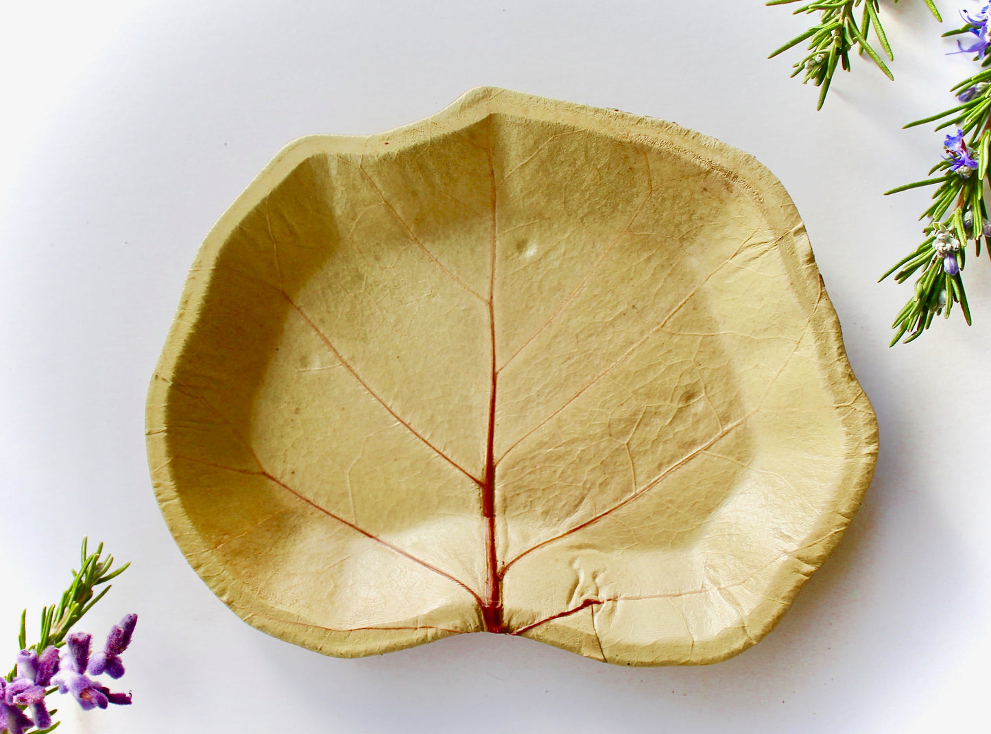 Eco Friendly 50 Piece Sea Grape Dessert Plate 7" - For Events & Parties - Disposable - Compostable - Biodegradable