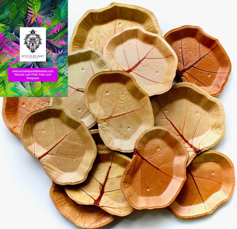 Natural Leaf Dessert plate Sea Grape 7" Stylish 1000 pic for Wholsal disposable - Copstable