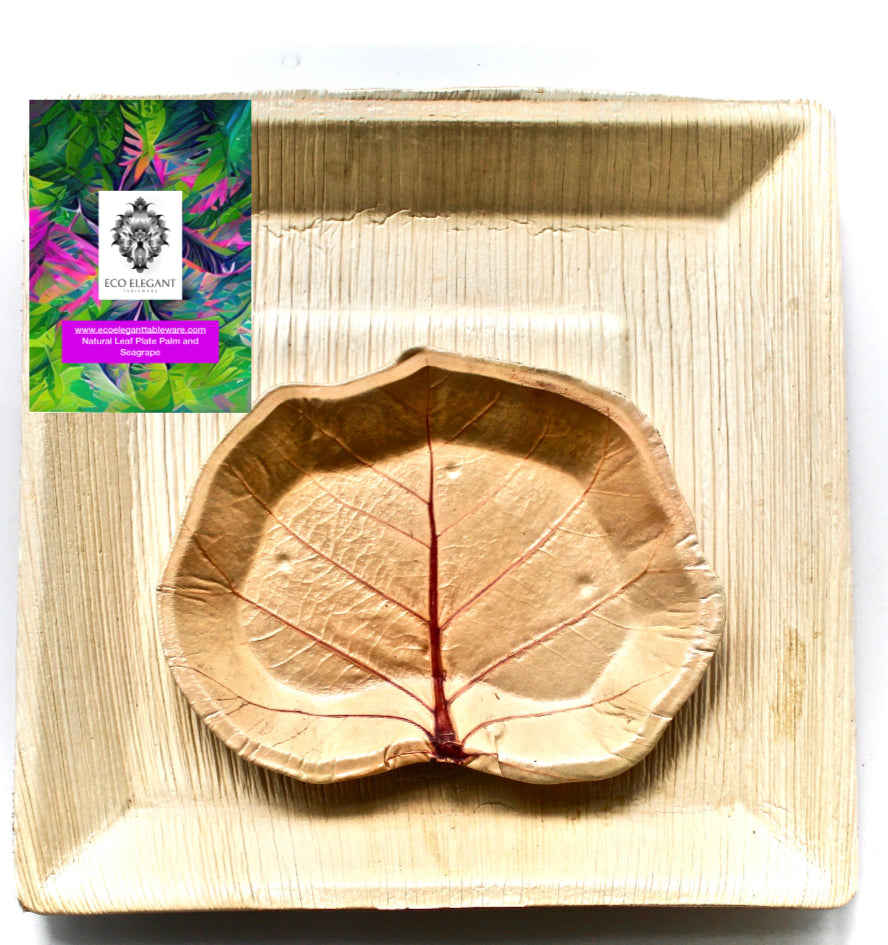 Natural Leaf Dessert plate Sea Grape 7" Stylish 1000 pic for Wholsal disposable - Copstable